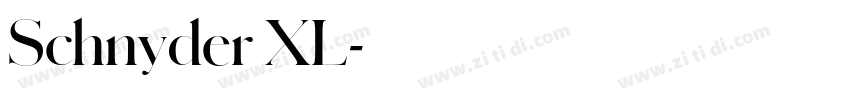 Schnyder XL字体转换
